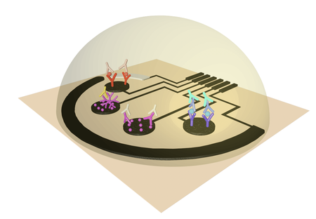 Artist's rendering of the COVID detector
