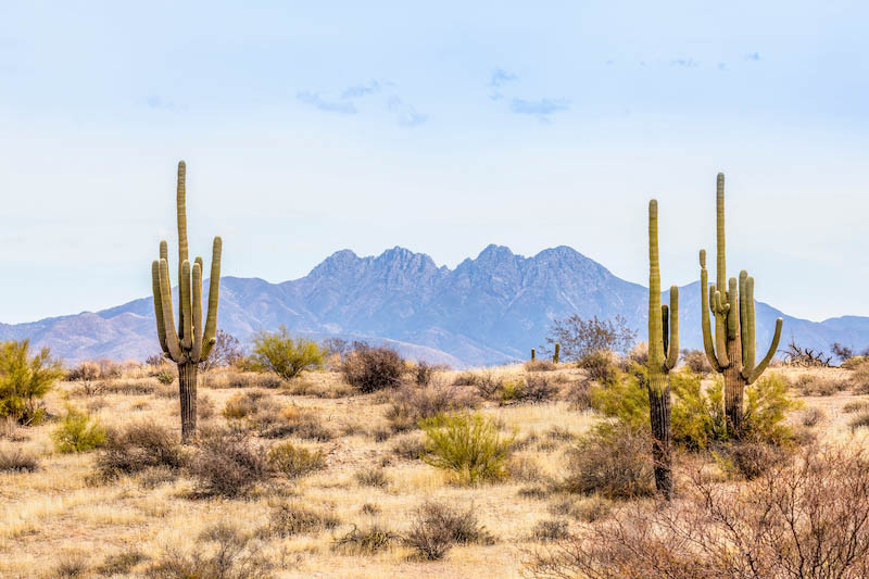 Desert Shutterstock