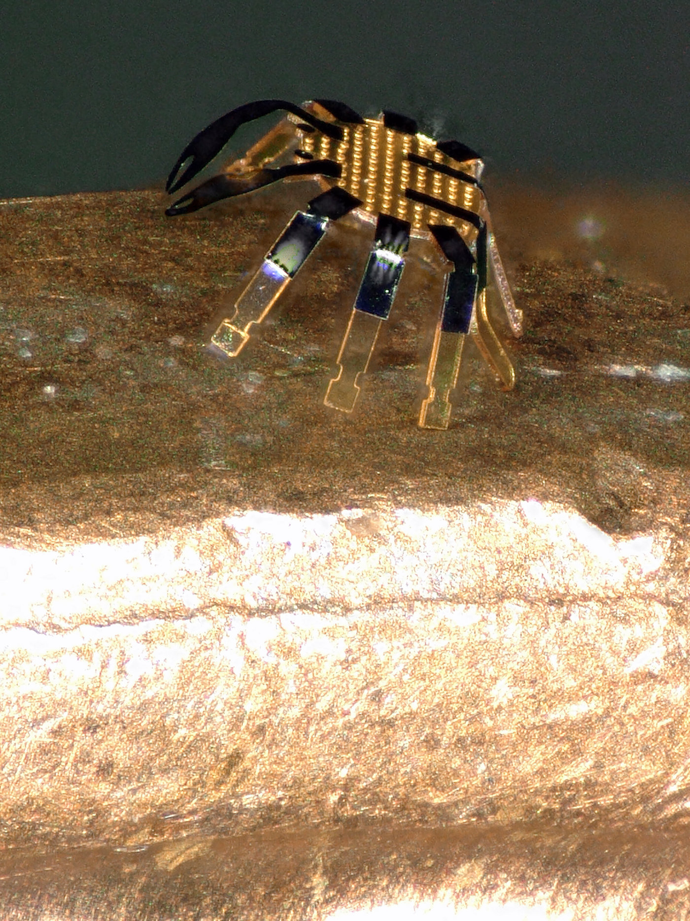 robotic crab