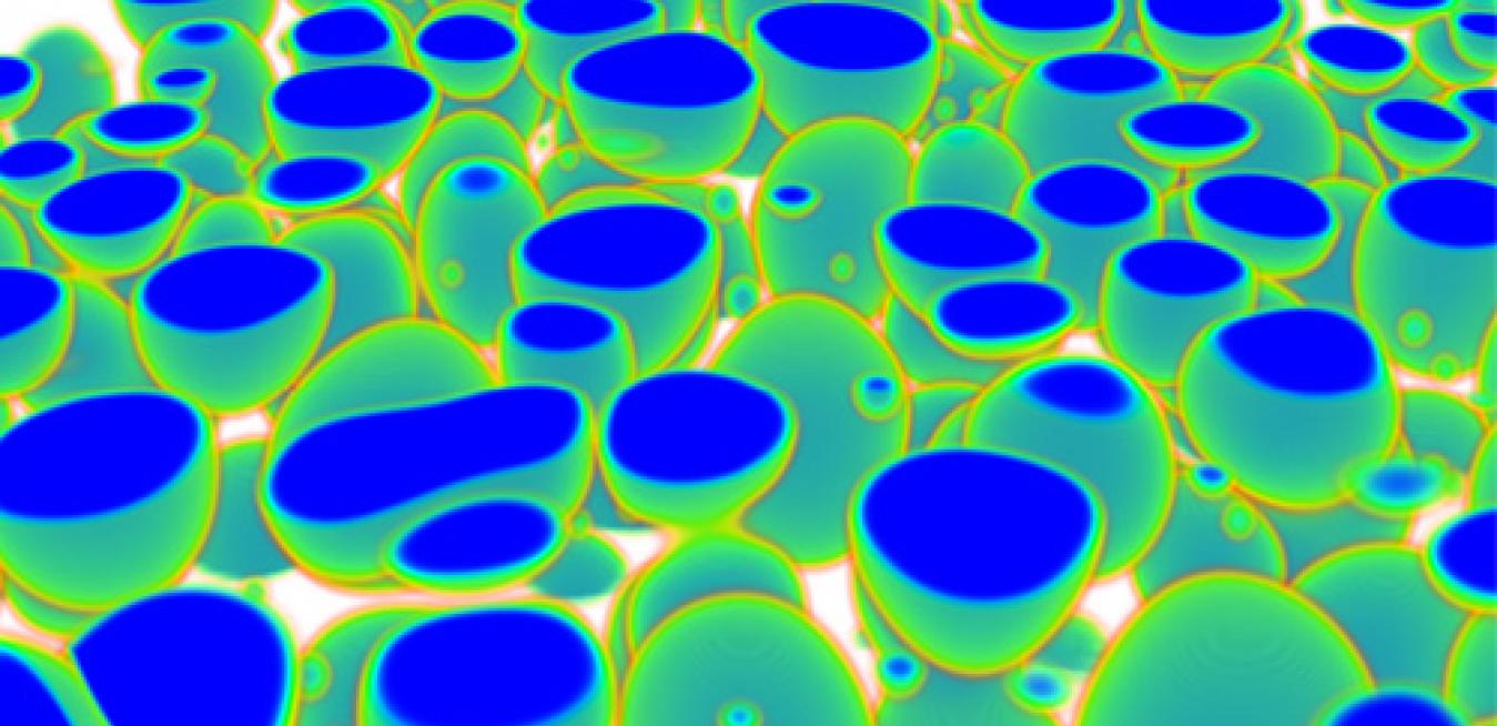 header-image