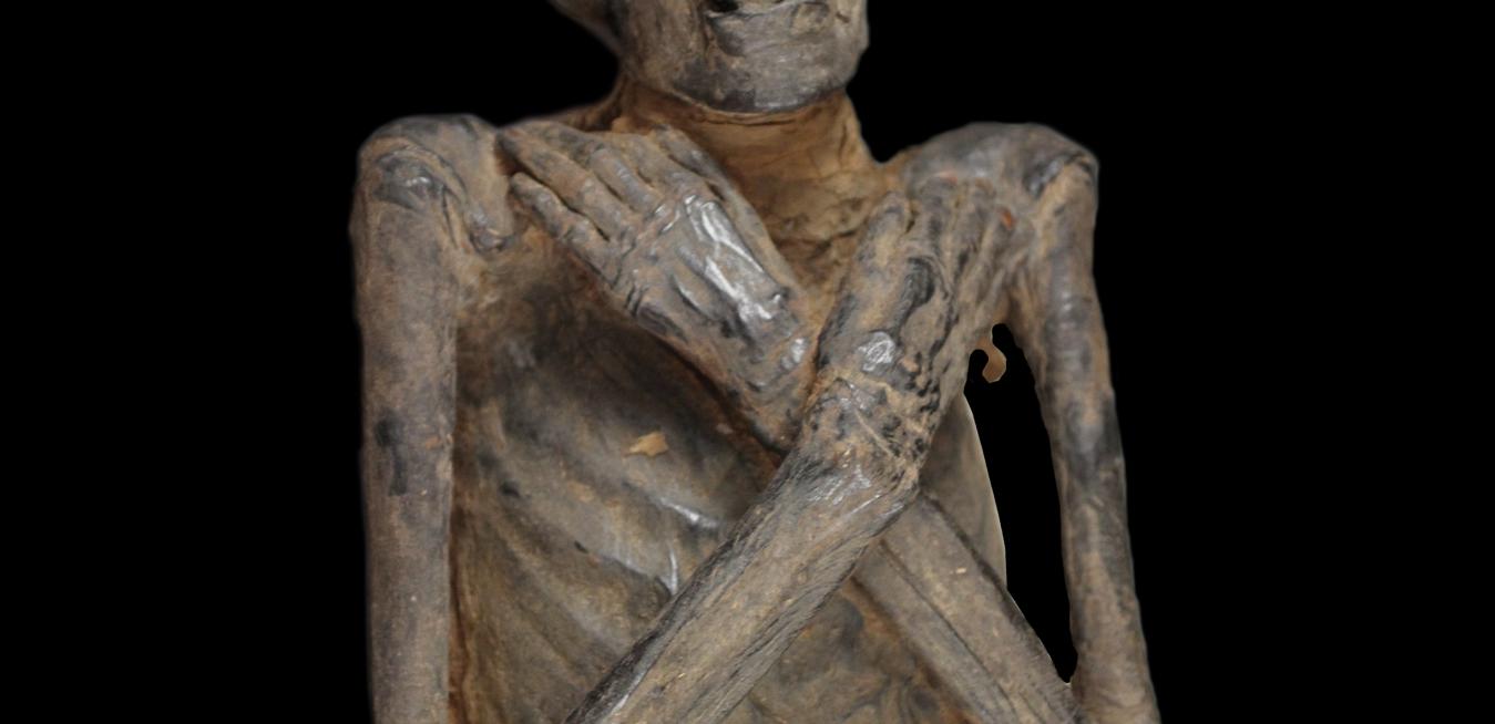 When This 3 000 Year Old Mummy Finally Got Her Checkup Doctors Discovered A Surprising Secret Ge News