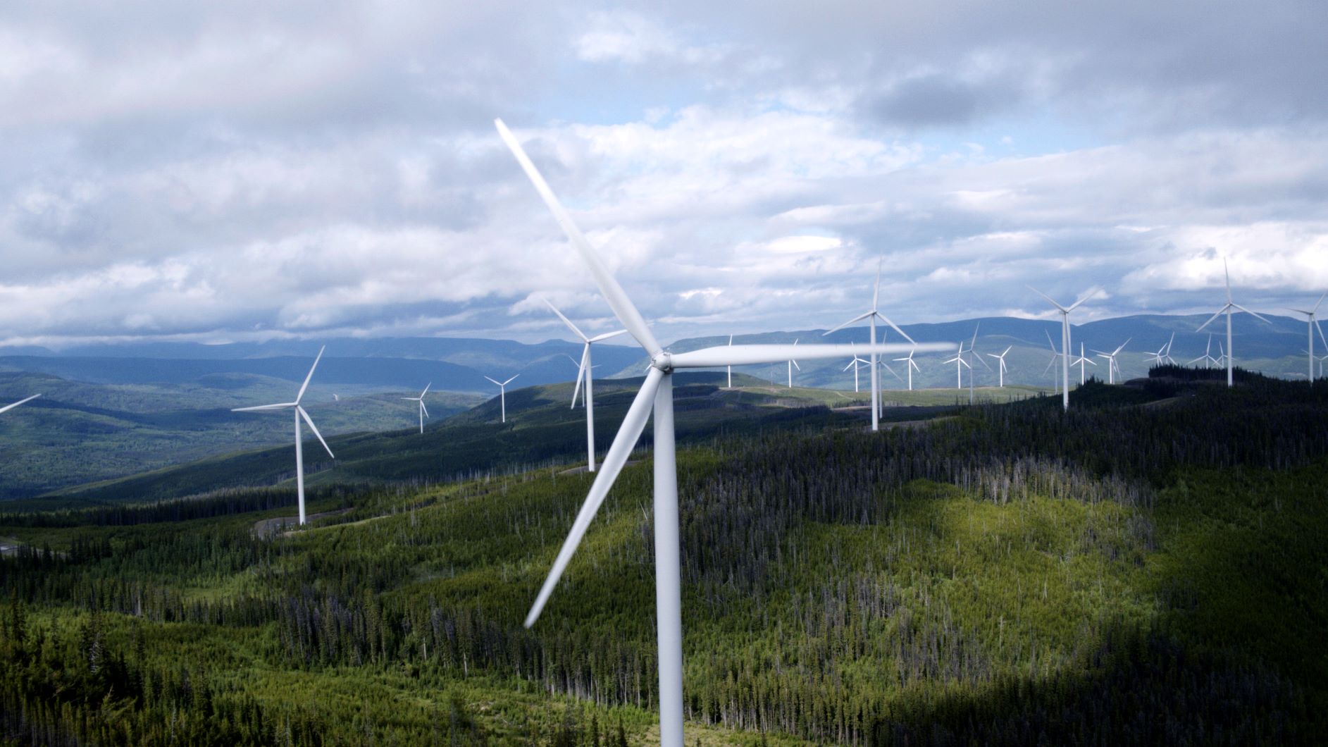 Wind farm image