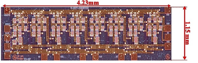 Microchip image