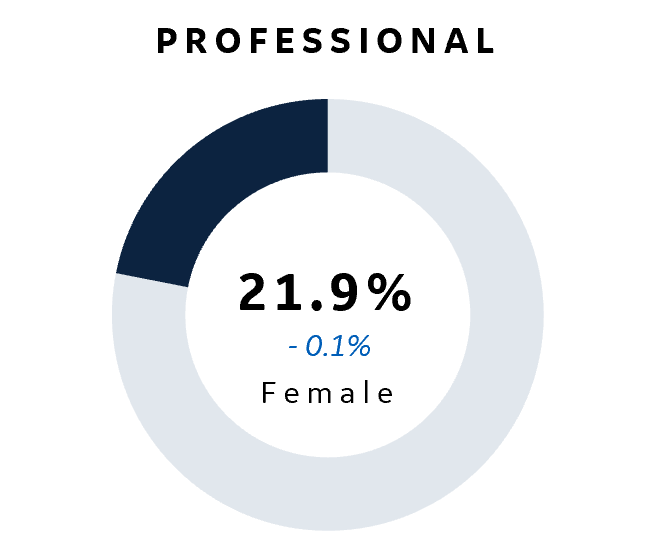 Aviation Professional
