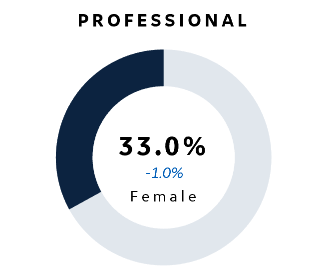 Corporate Professional